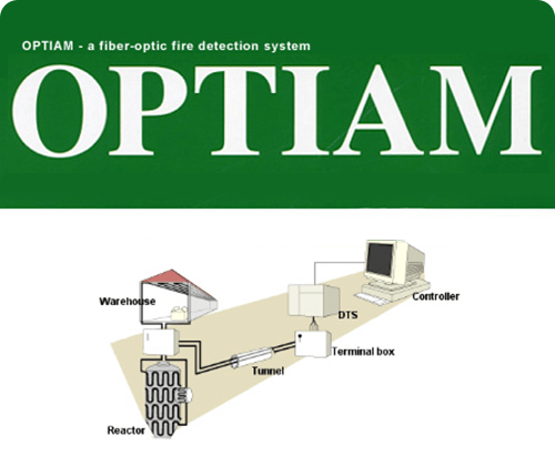 Optical fiber detection system